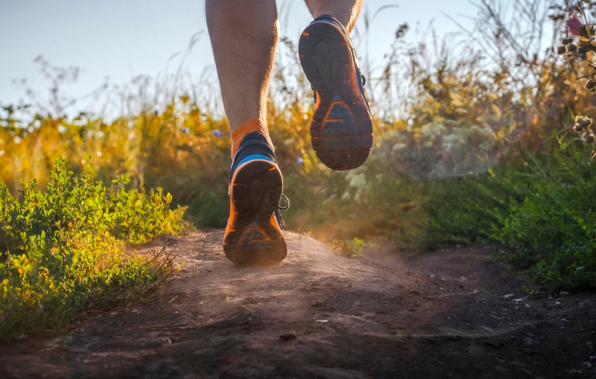 Najnowsze badania naukowców z Penn State wskazują na mechaniczne powiązania pomiędzy aktywnością fizyczną a funkcjonowaniem mózgu. Wyniki opublikowane w prestiżowym czasopiśmie "Nature Neuroscience" wskazują, że nawet delikatne skurcze mięśni brzucha mogą wywoływać subtelne ruchy mózgu, które z kolei wspomagają cyrkulację płynu mózgowo-rdzeniowego. Ten "hydrauliczny" proces może mieć kluczowe znaczenie dla usuwania szkodliwych produktów przemiany materii z mózgu i ochrony przed rozwojem chorób neurodegeneracyjnych.