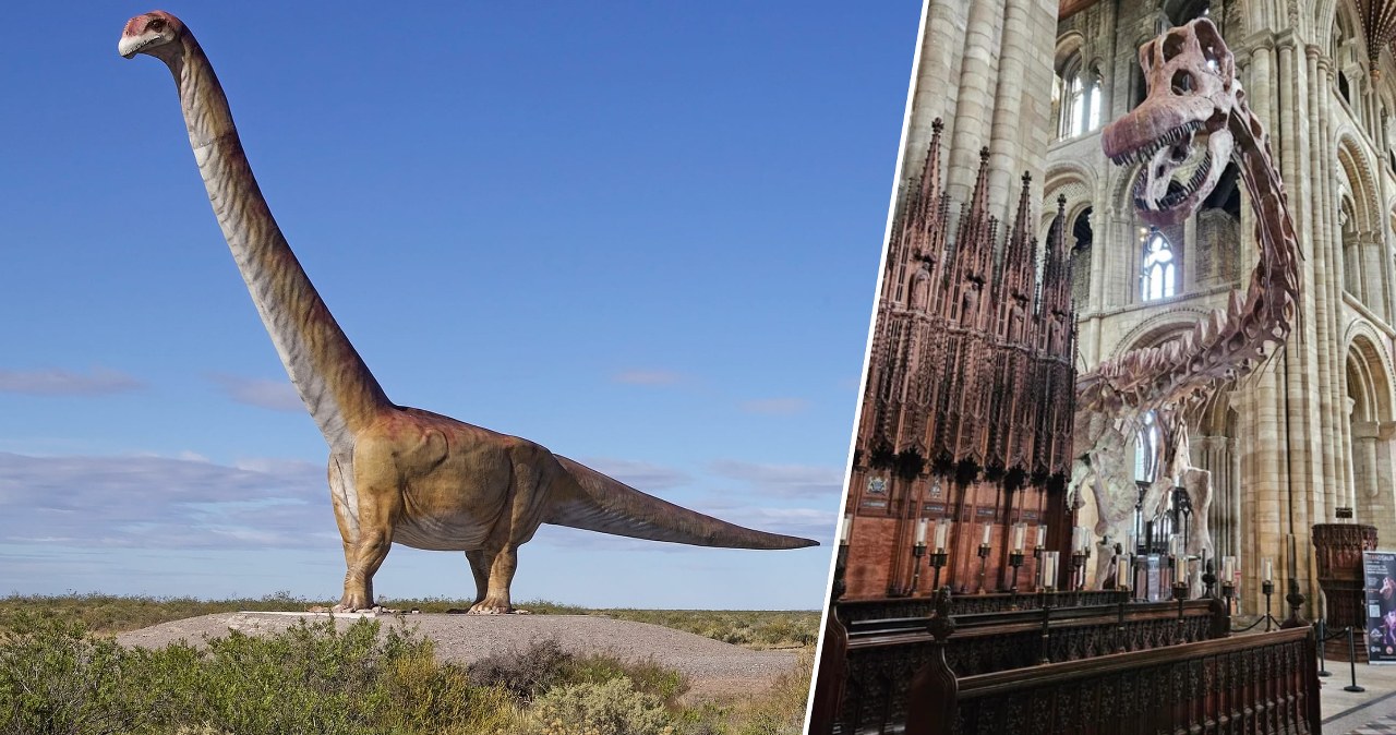 Tytanozaur w kościele. Prehistoryczny gigant na wyjątkowej wystawie