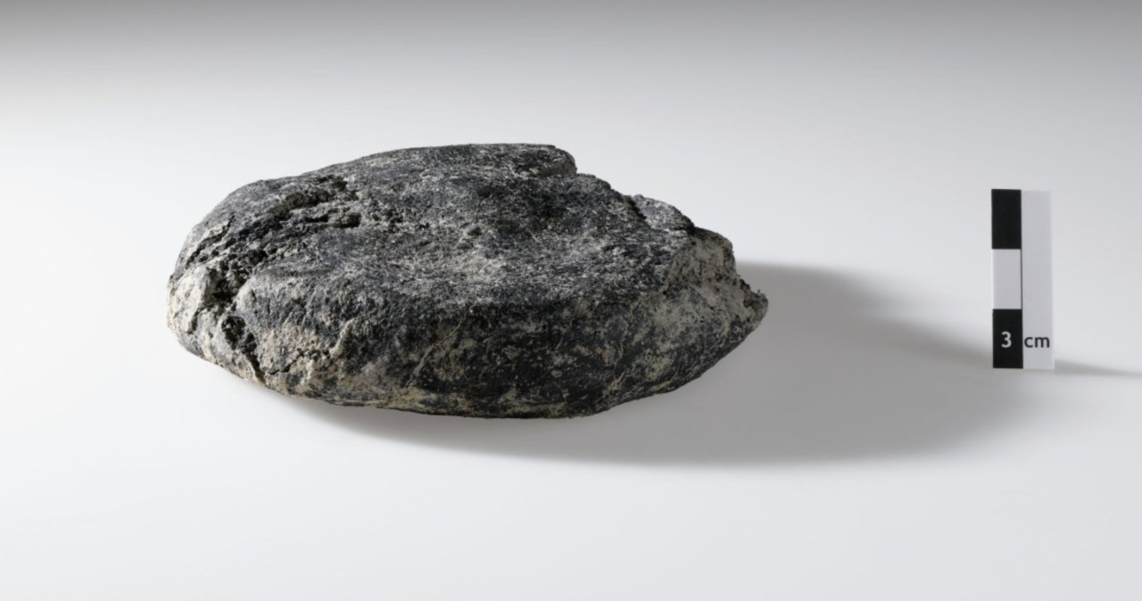 Znaleźli bochenek chleba sprzed 2 tys. lat. Unikatowe odkrycie w Szwajcarii