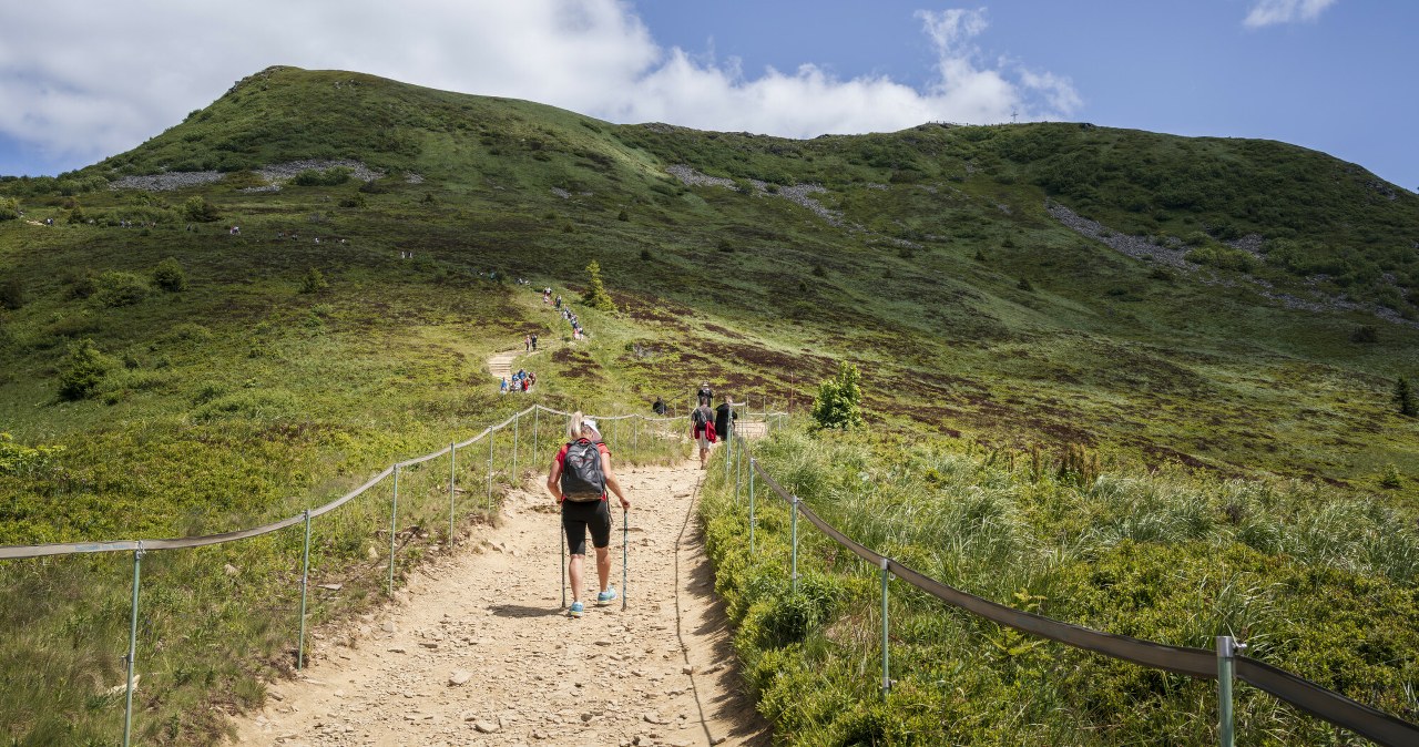 Bieszczady na majówkę. Piękny i prosty szlak dla wszystkich