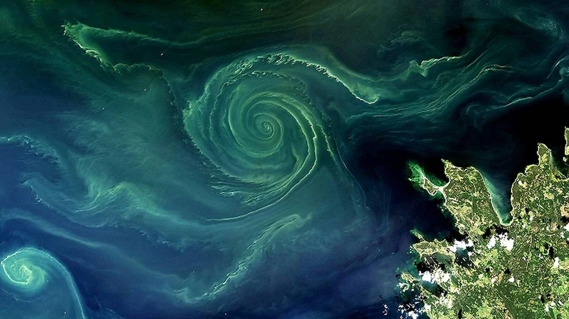 Niepokojące zjawisko na Bałtyku. Na pierwszy rzut oka wygląda pięknie