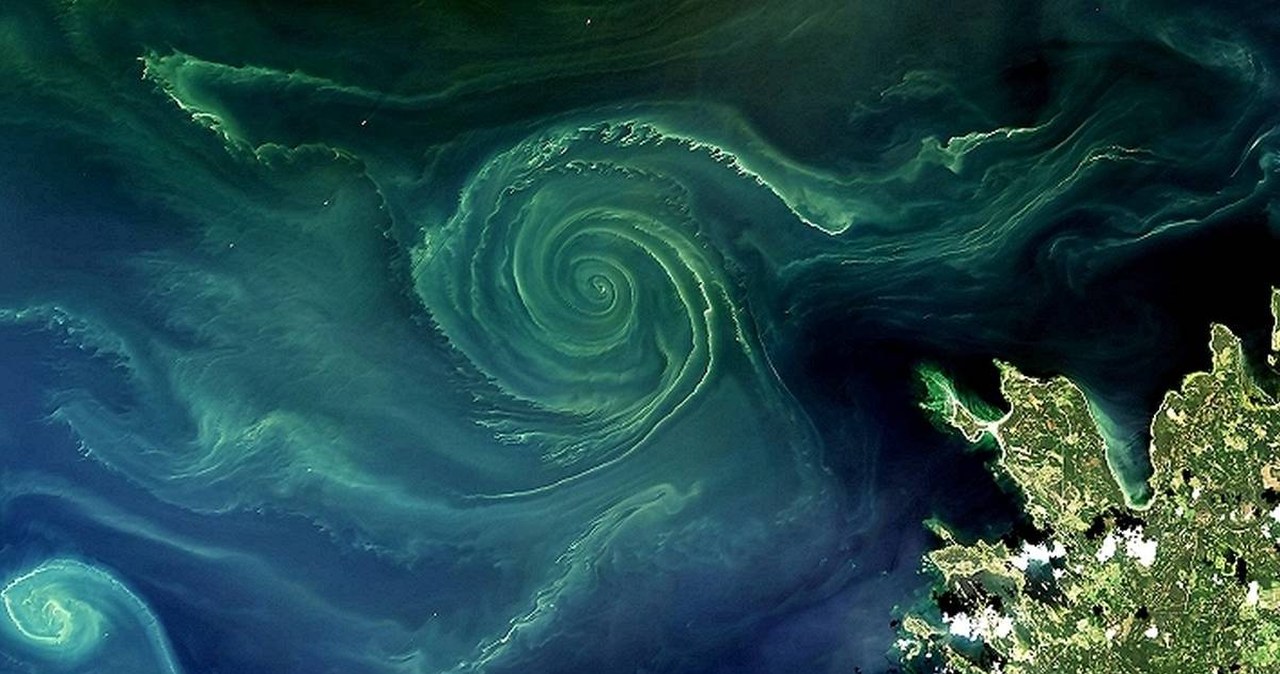 Niepokojące zjawisko na Bałtyku. Na pierwszy rzut oka wygląda pięknie