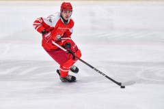 Hokej: Mistrzostwa świata Dywizji 1A - Sosnowiec 2026 - mecz: Polska - Litwa