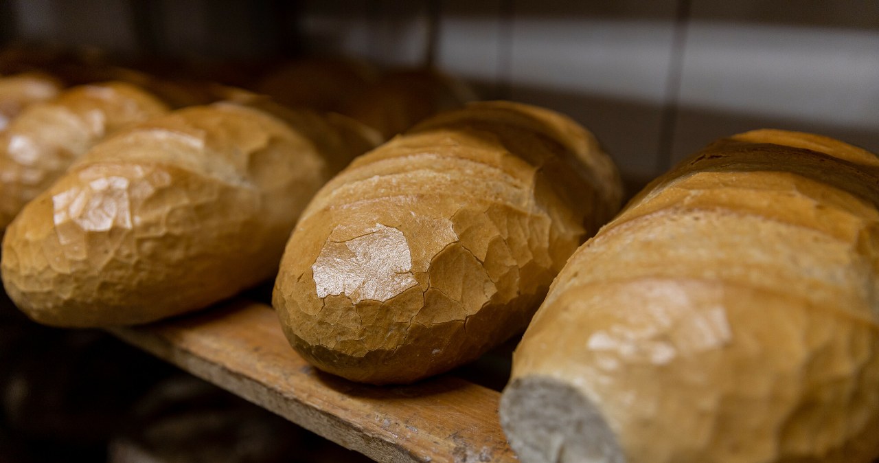 Zaskakujący eksperyment w Poznaniu. W roli głównej chleb