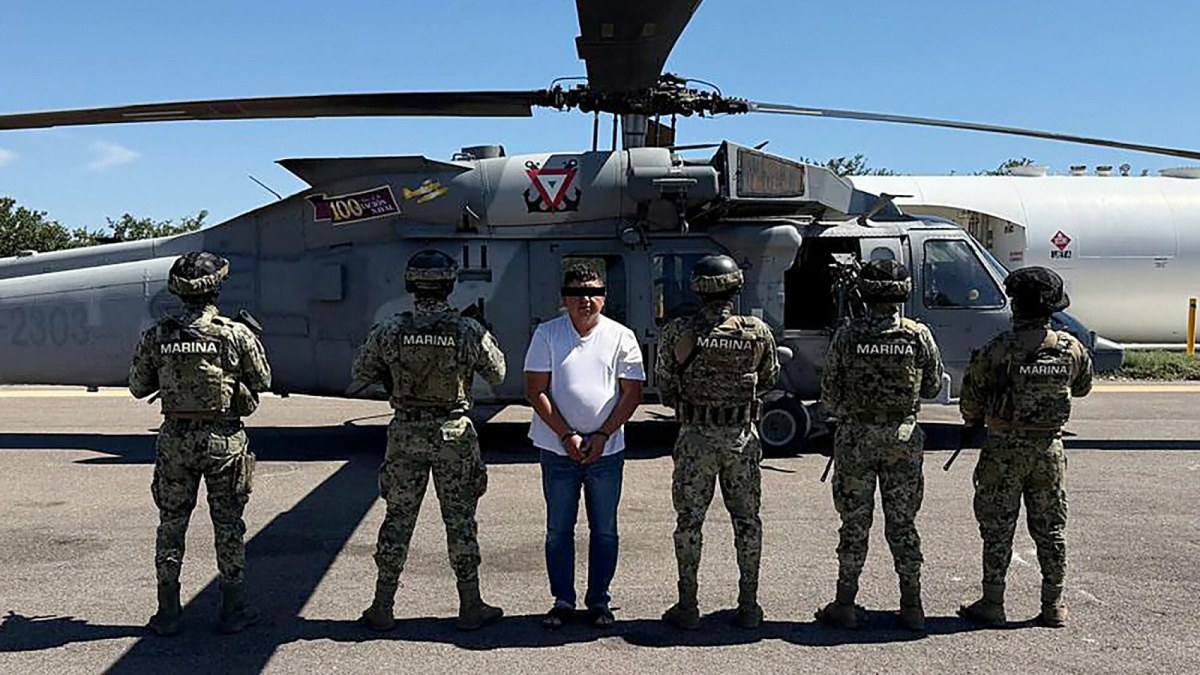 Tak wpadł "Ogrodnik". Baron narkotykowy próbował ukryć się w rowie