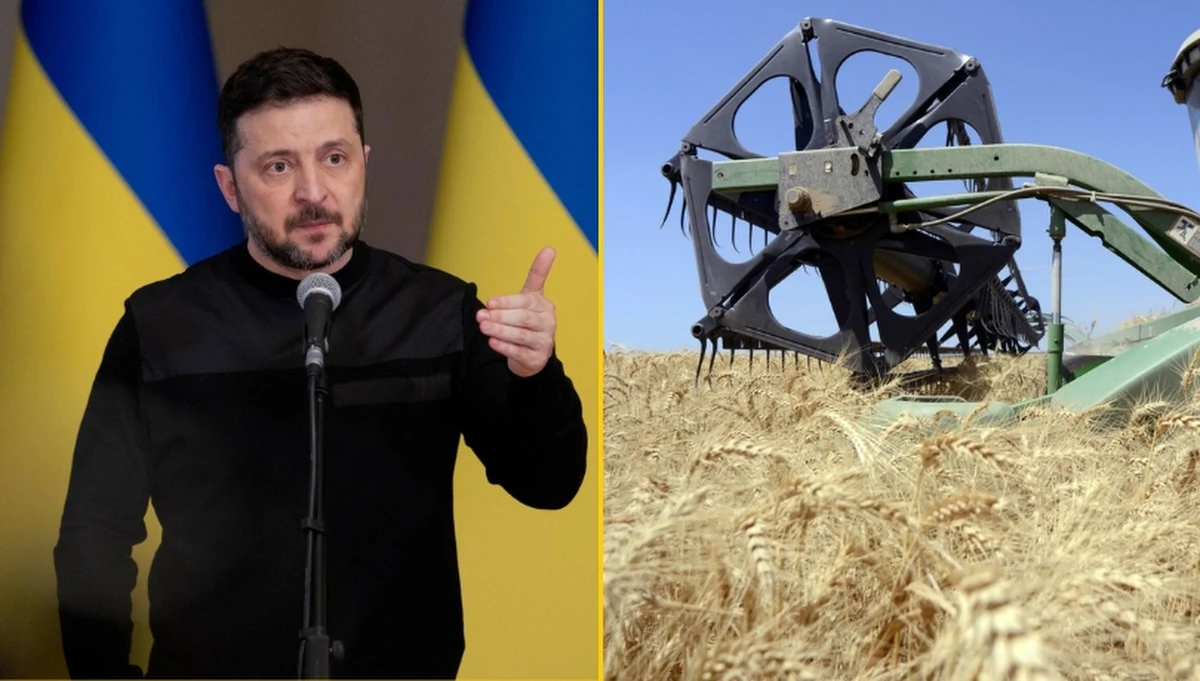 Ukraina przygotowuje nowy pakiet sankcji, który obejmie osoby i firmy zaangażowane w transport oraz handel zbożem z terenów tymczasowo okupowanych przez Rosję. Sankcje mają objąć zarówno przewoźników, jak i podmioty próbujące czerpać zyski z procederu. Kijów zapowiada także współpracę z partnerami europejskimi, by odpowiedzialni za nielegalny handel zostali objęci również europejskimi restrykcjami. W tle sprawy jest spór z Izraelem, który potajemnie ma odbierać skradzione Ukraińcom zboże.