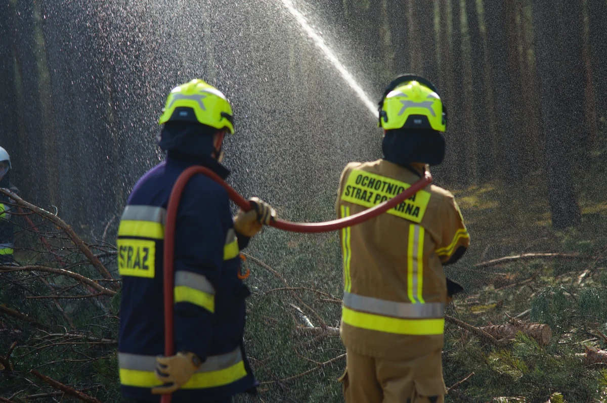 W Sylcznie na Pomorzu pożar strawił 7 hektarów lasu - poinformował we wtorek wieczorem rzecznik prasowy pomorskiej straży pożarnej mł. asp. Dawid Westrych. W akcji wykorzystano samolot gaśniczy.
