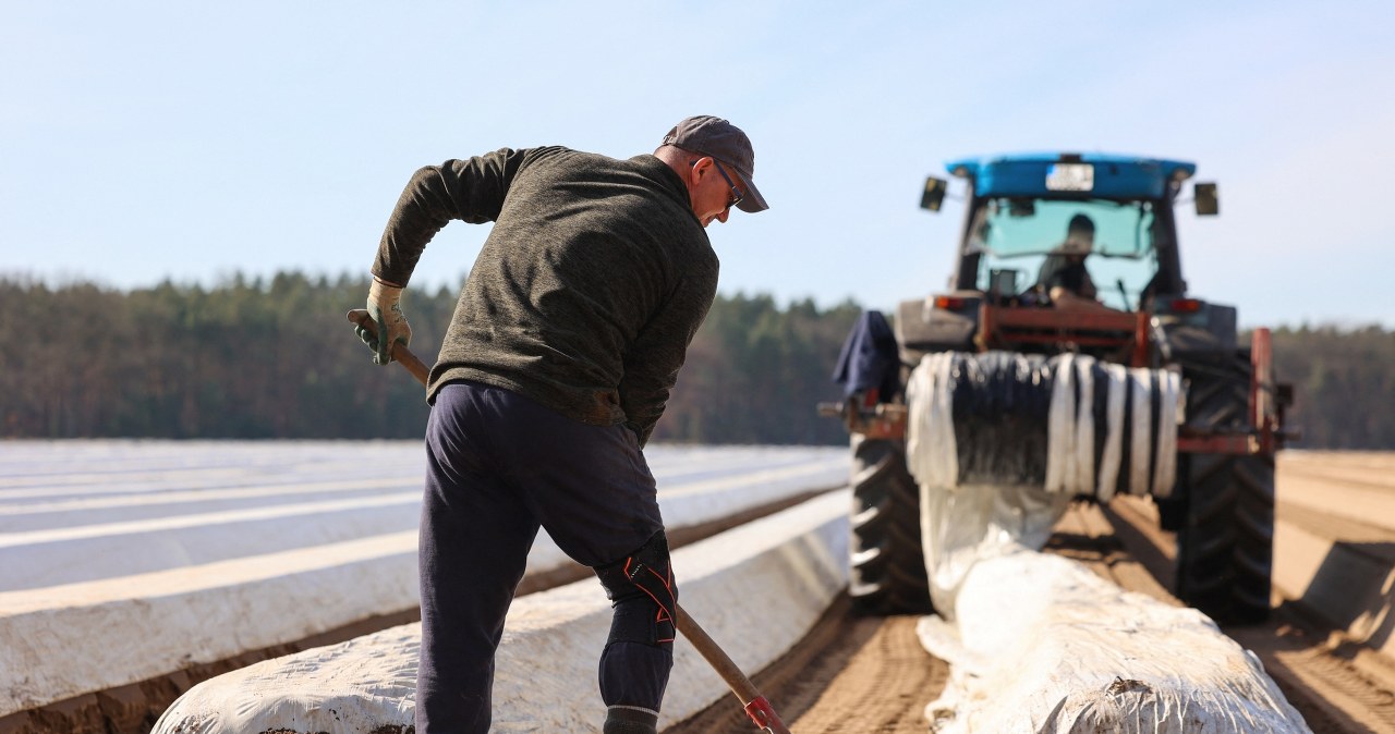 Wchodzi Mercosur. Polski biznes bez entuzjazmu. Zyski widzą dwie branże