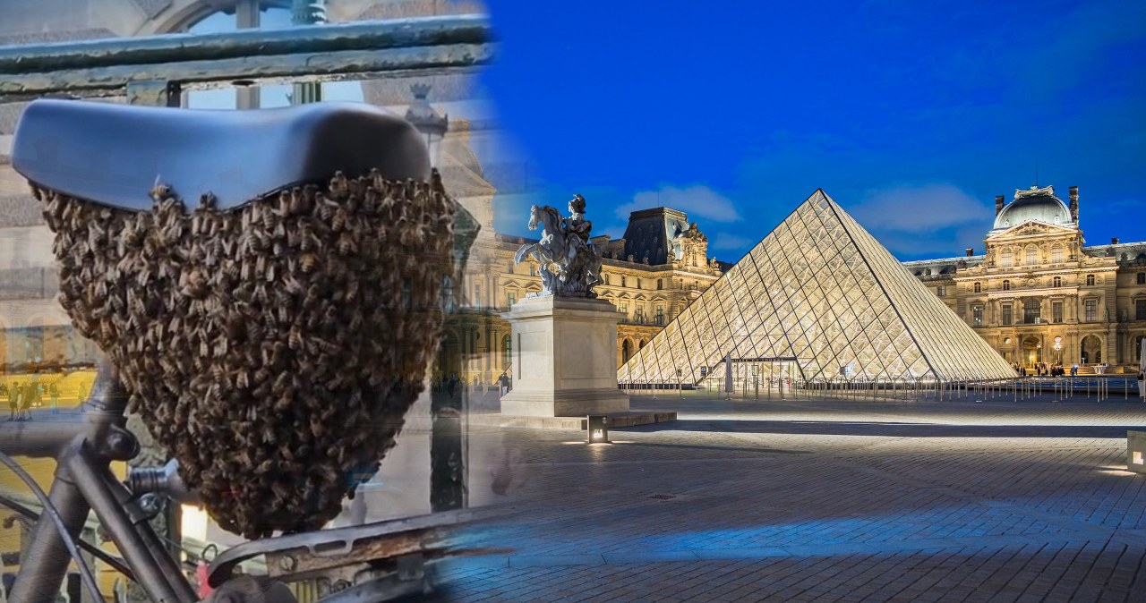 Paraliż przy jednej z największych atrakcji Paryża. Wystarczyło pół godziny