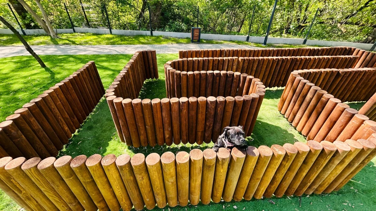 Miasto otworzyło nowy wybieg dla psów przy ul. Mogilskiej. To kolejny krok w kierunku tworzenia przyjaznych przestrzeni dla mieszkańców i ich czworonożnych towarzyszy. W planach są już kolejne inwestycje w różnych częściach Krakowa. Sprawdź, które lokalizacje wybrano. 