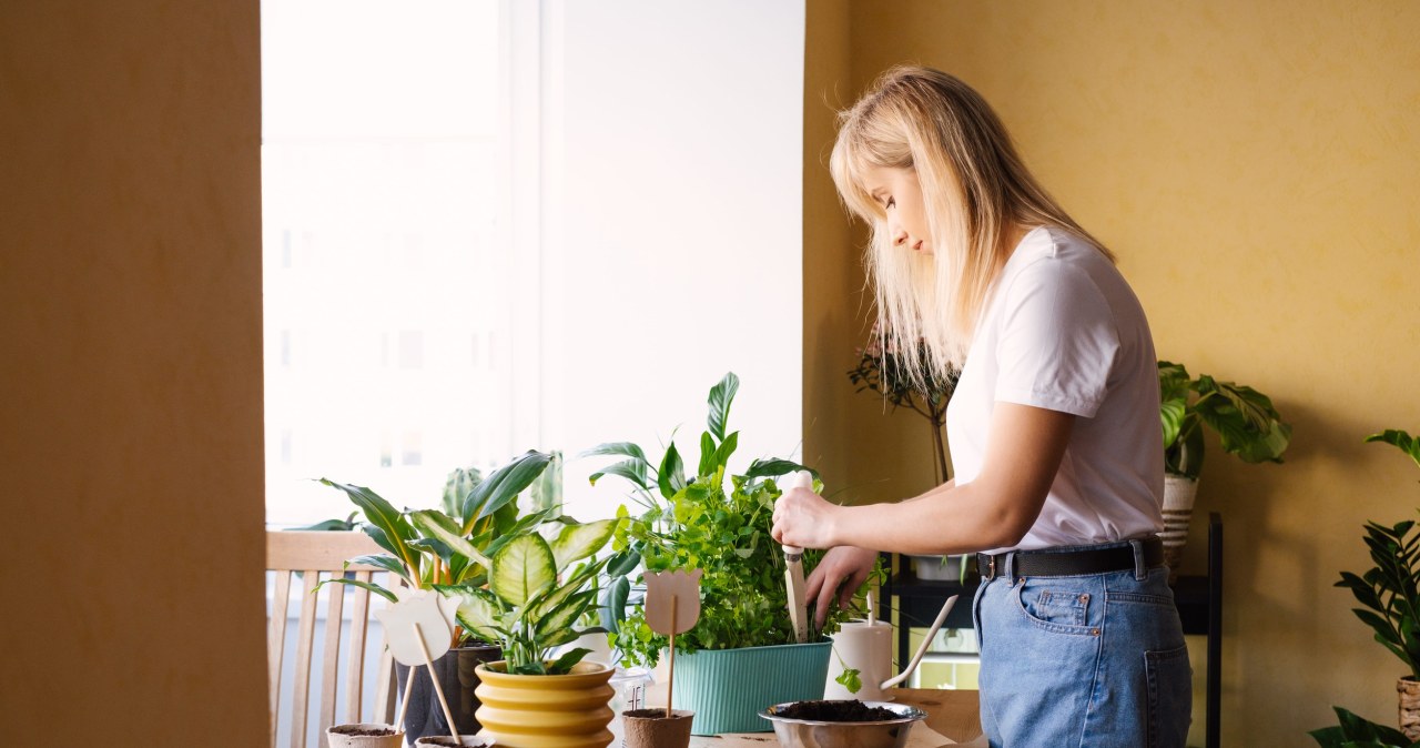 W pełnię łatwo o błędy. Sprawdź, czego nie robić 1 maja