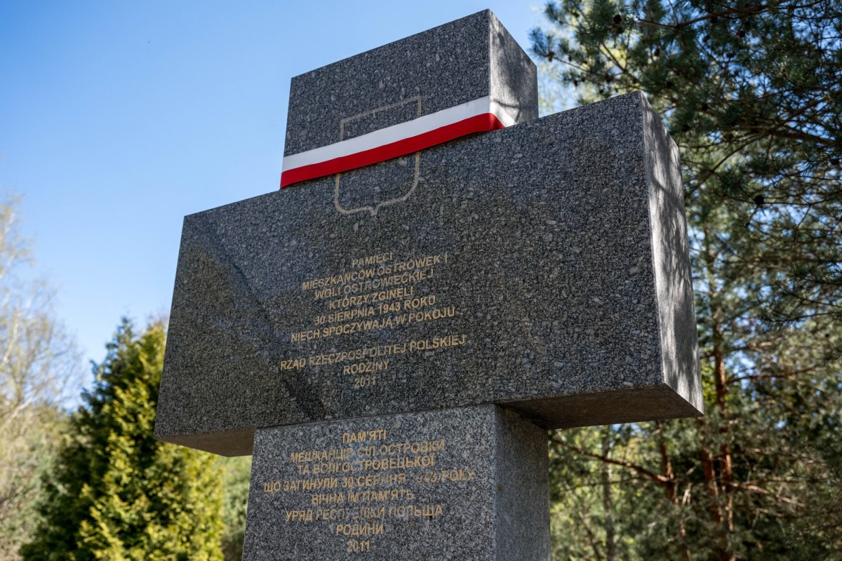 Mogiła Polaków na Wołyniu? "Szukamy zbiorowego grobu"