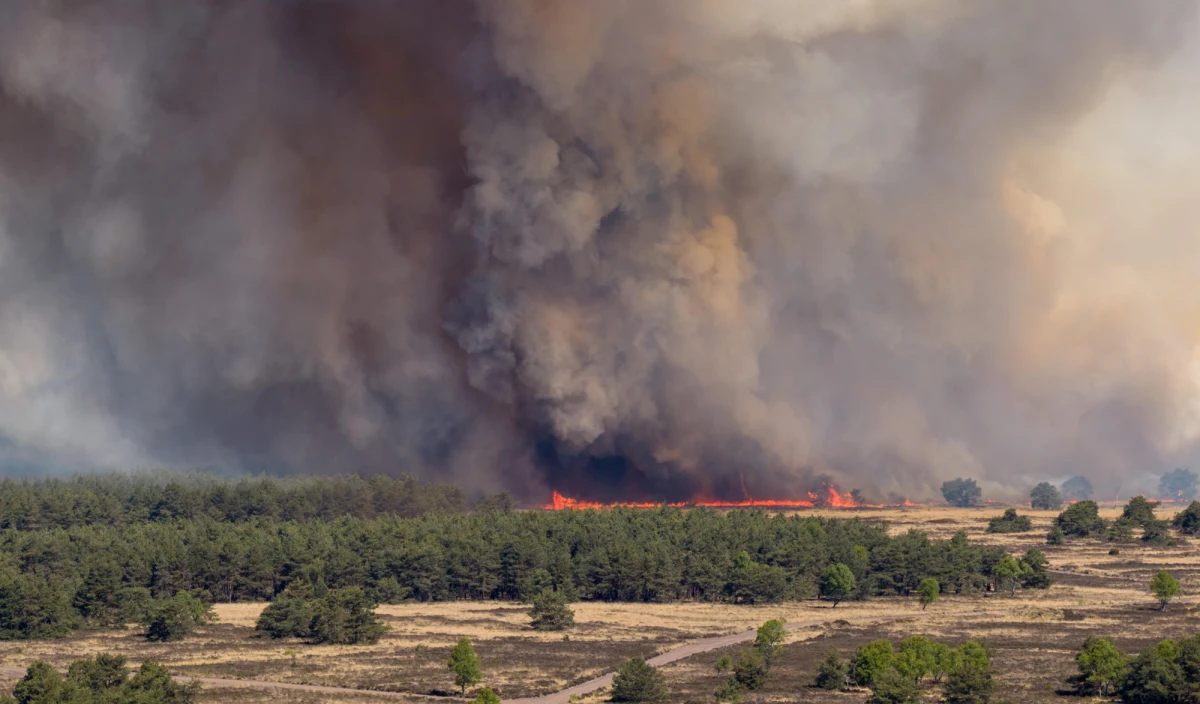 Na poligonie wojskowym we wsi ’t Harde na skraju lasu Veluwe w prowincji Geldria w Holandii trwa ogromny pożar. Dym jest wyczuwalny w znacznej części kraju. Wydano alert dla kilku regionów. Nie ma informacji o poszkodowanych. 