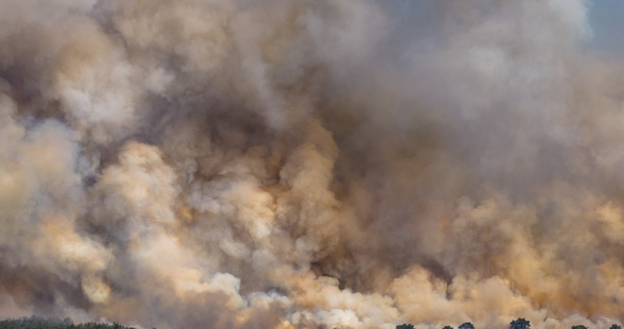 Płonie poligon w Holandii. Alerty dla części kraju, w akcji śmigłowce