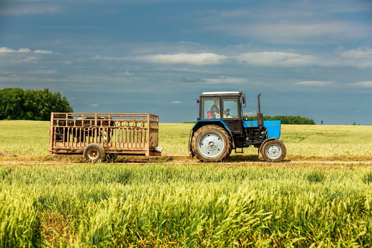 Wielka abolicja dla traktorów. Rząd pójdzie rolnikom na rękę
