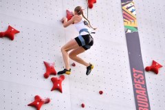 Wspinaczka: Zawody World Series w Wujiang - speed kobiet i mężczyzn - finały