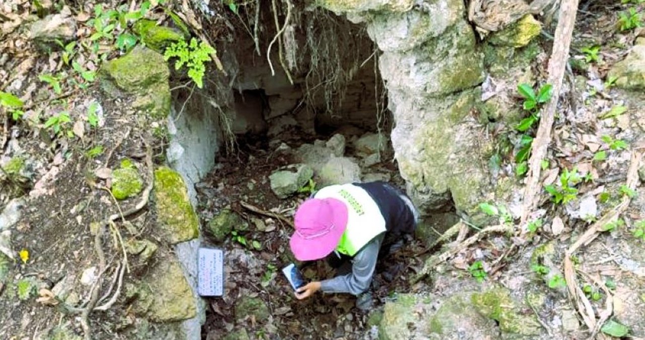 Spektakularne odkrycie w Meksyku. Zaginiona osada Majów ujawniona