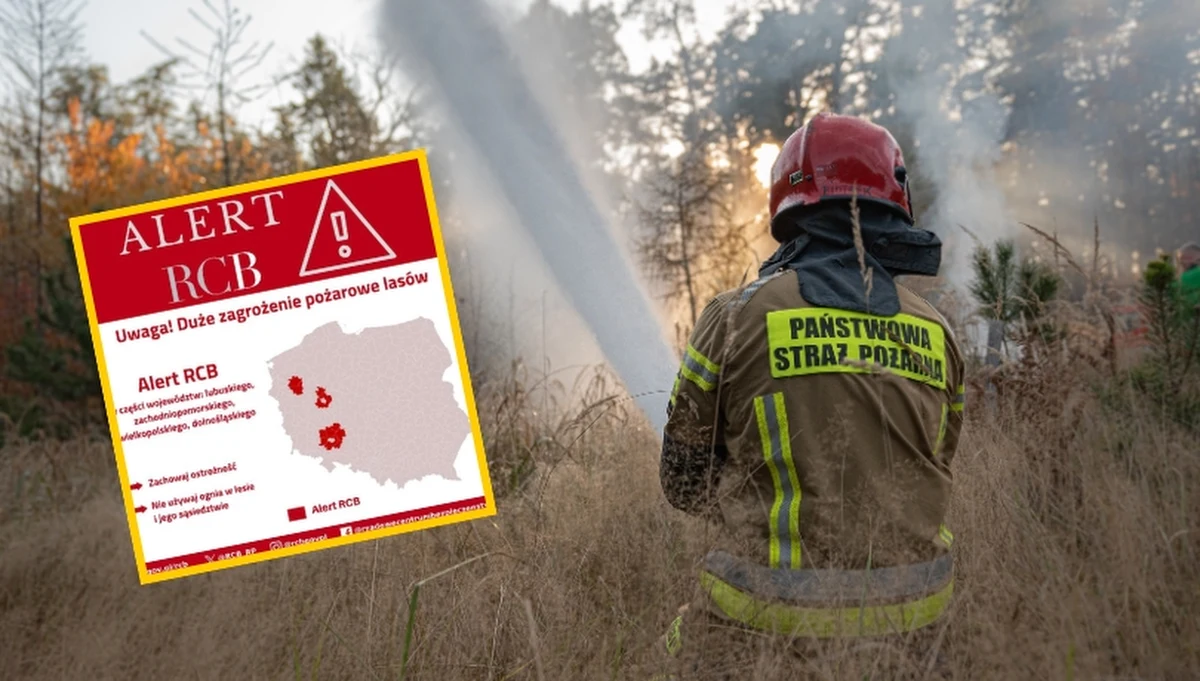 Odbiorcy na terenie 11 powiatów otrzymali w czwartek alert RCB dotyczący dużego zagrożenia pożarowego lasów. Chodzi o tereny w zachodniej Polsce.