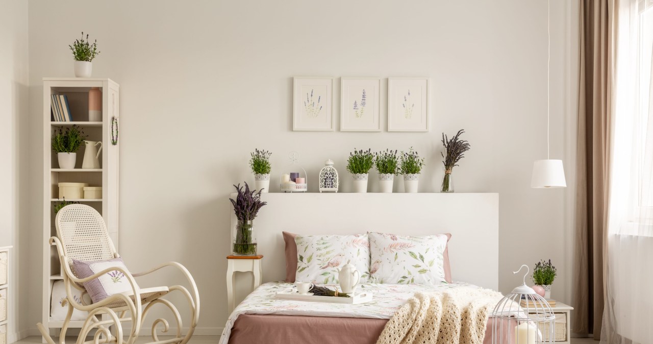 Domowe drobiazgi od lat uchodzą za pechowe. Niektórzy przez cały czas je gromadzą