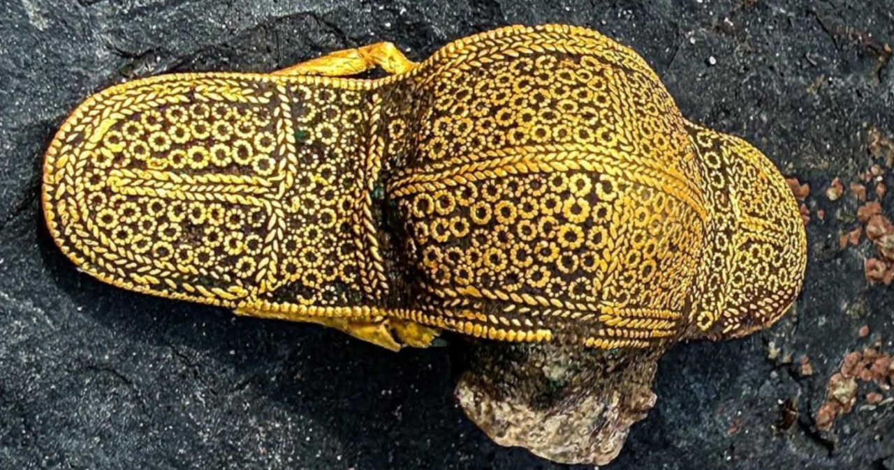 Poszukiwacz amator odkrył złoty relikt. To skarb sprzed 1500 lat