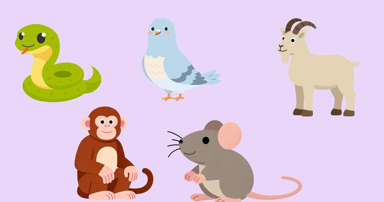 Psychotest: Jak funkcjonujesz w relacjach? Taki jest twój styl przywiązania