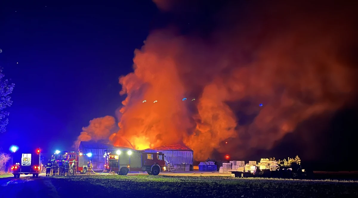 Wielomilionowe straty wywołał pożar hali we wsi Rybno w powiecie działdowskim (woj. warmińsko-mazurskie). W obiekcie produkowano pellet.