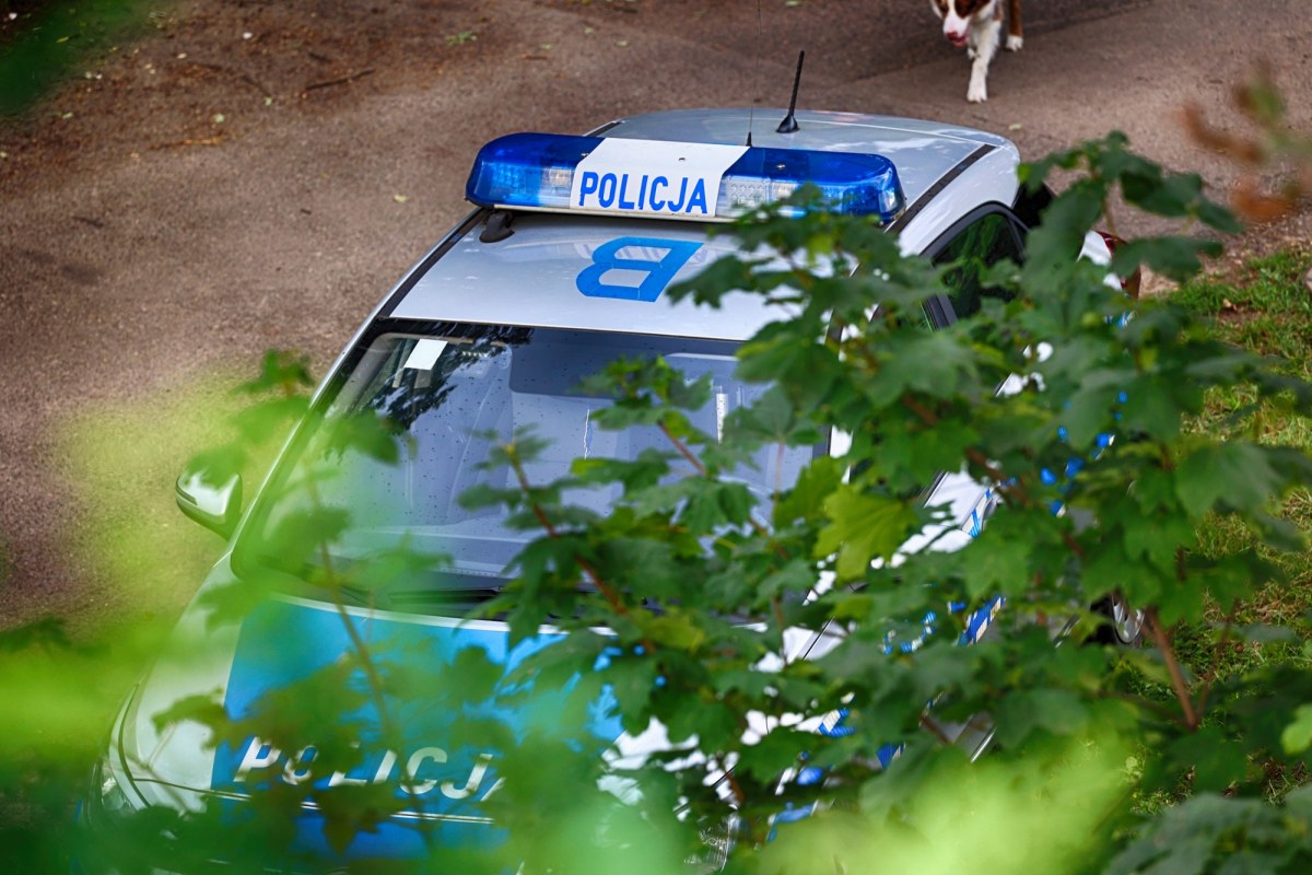 Atak maczetą w okolicach Term Maltańskich w Poznaniu. Są ranni