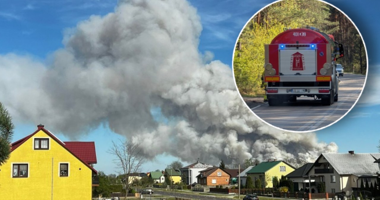Lubelskie. Pożar lasu w powiecie biłgorajskim. W akcji około 200 strażaków