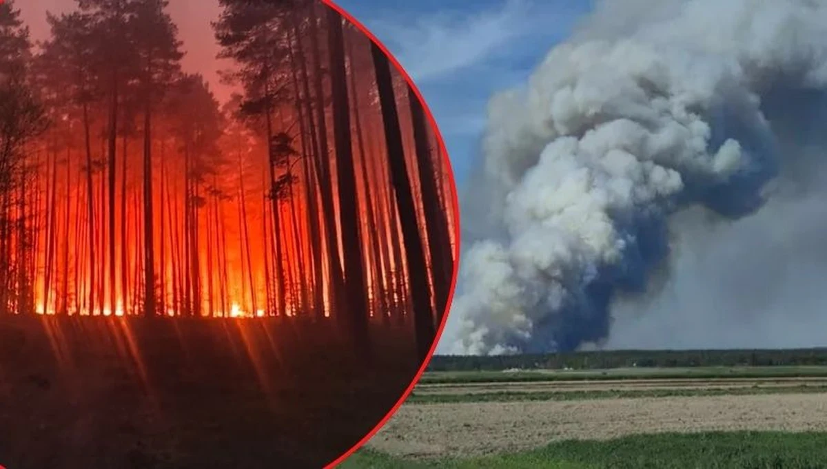 Już ponad 300 strażaków walczy z pożarem lasu na południu Lubelszczyzny, na styku trzech powiatów: biłgorajskiego, zamojskiego i tomaszowskiego. W akcji gaśniczej uczestniczą m.in. cysterny z wodą i śmigłowce, a straż pożarna ściąga kolejne posiłki. Policja kieruje ruch objazdami. Akcja może trwać jeszcze kilkadziesiąt godzin. Działania służb utrudnia wiatr. Zdjęcia kłębów dymu dostaliśmy od naszej Słuchaczki na Gorącą Linię RMF FM. Pożar objął już 150 hektarów. Na razie nie ma informacji, aby ktoś był poszkodowany.