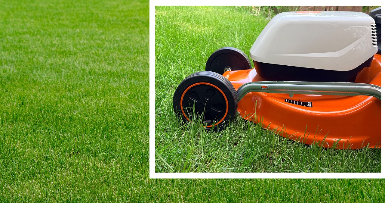 Coś do ogrodu prawdziwego geeka. Ta kosiarka od STIHL nie potrzebuje kabli i kosza