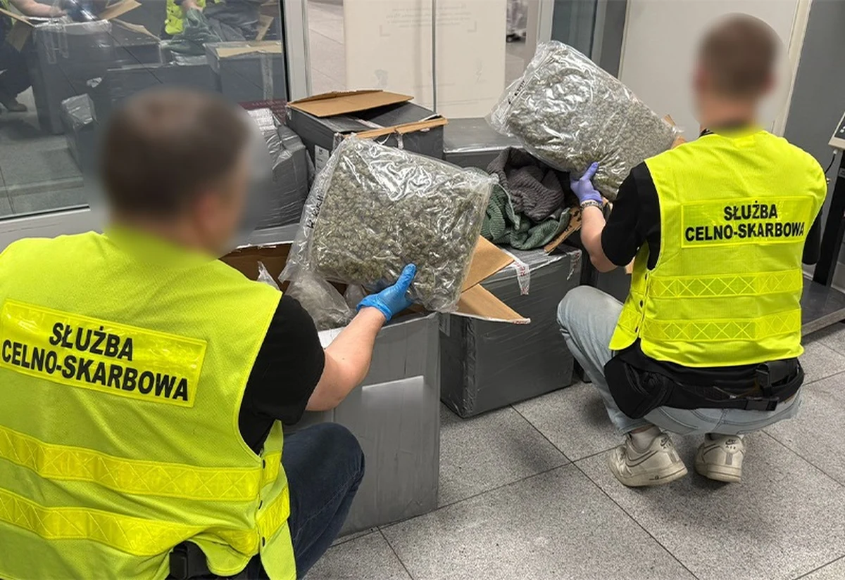 Ponad 50 kilogramów marihuany o wartości niemal 2,5 miliona złotych przechwycili funkcjonariusze mazowieckiej Krajowej Administracji Skarbowej. Narkotyki ukryto w przesyłkach z odzieżą nadanych w Kanadzie, które miały trafić do dwóch odbiorców w Polsce.