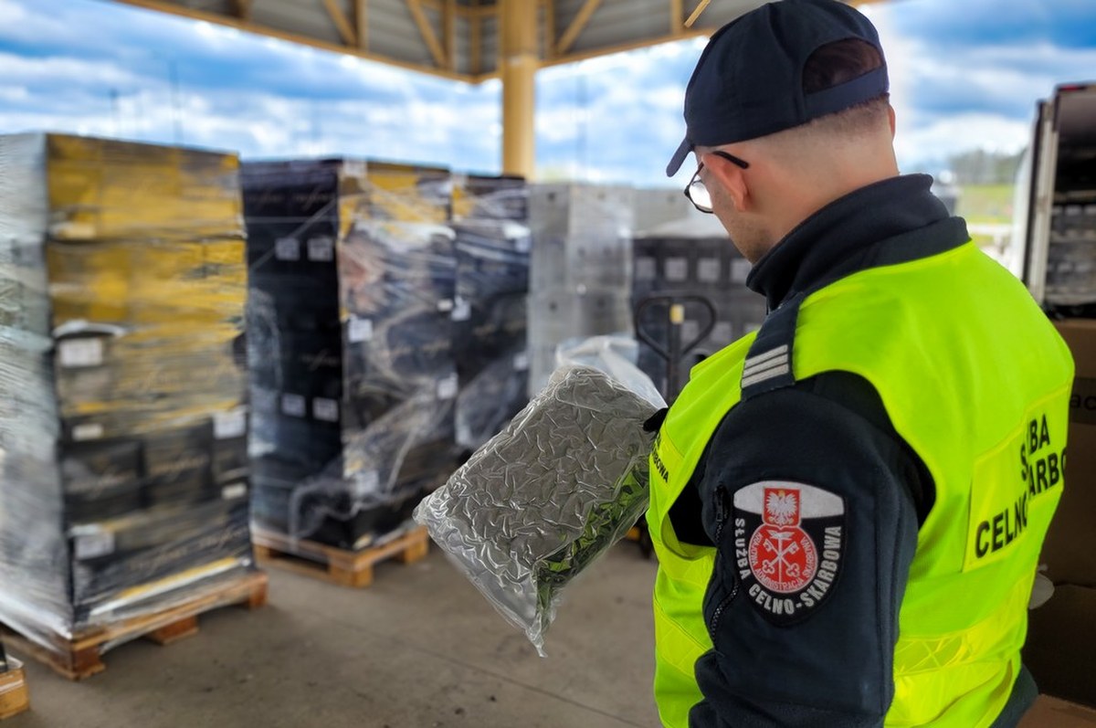 Narkotyki ukryte między butelkami wina. Udaremniony przemyt na polskiej granicy