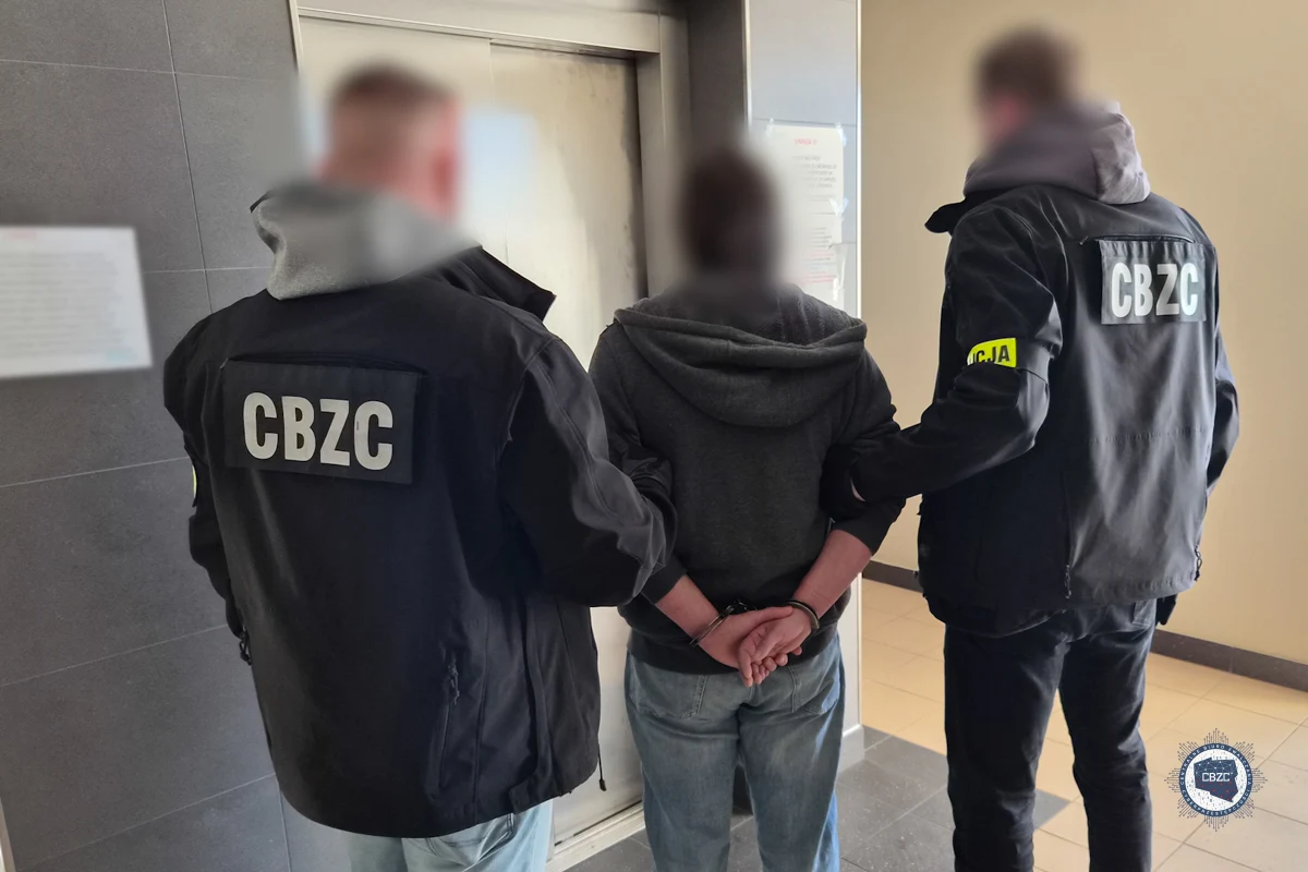 W ramach operacji "Hellfire" służby przeszukały 175 lokali, w których znaleziono ponad 1,5 tysiąca nośników cyfrowych zawierających dziecięcą pornografię. Zatrzymano 123 osoby - 95 z nich usłyszało zarzuty, a 47 trafiło do aresztu. W dwutygodniowej akcji wzięło udział prawie 500 policjantów. 