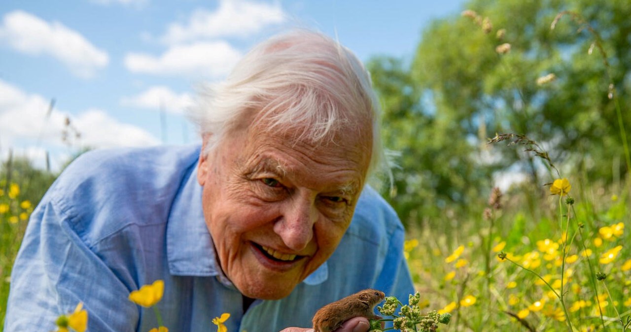 Zajrzał do jaja, podróżował z dinozaurami. Attenborough stał się rewolucją
