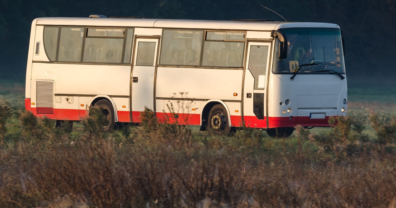 Nowe przepisy dla przewoźników. Część pasażerów może to odczuć