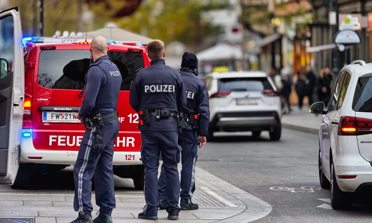 W Linzu, mieście na północnym wschodzie Austrii, padły strzały - informuje "Kronen Zeitung". Zginęły trzy osoby - strzelec najpierw zabił dwie osoby, a potem odebrał sobie życie.