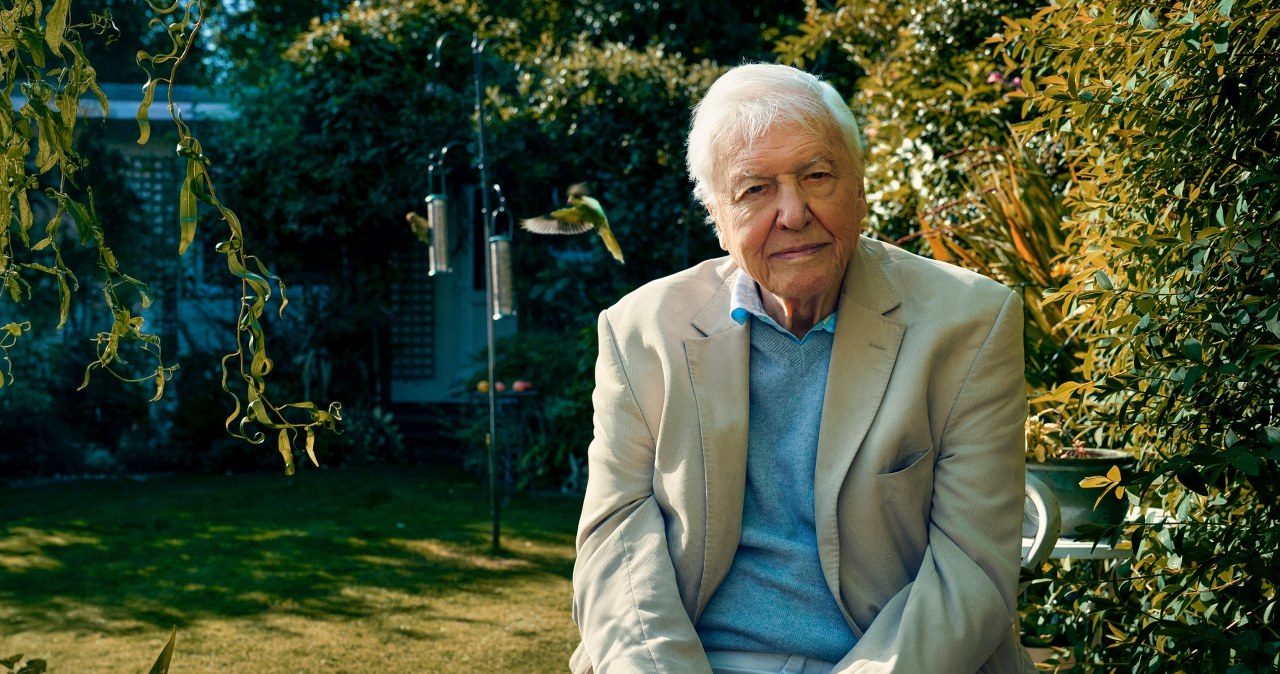 Od dekad odkrywa przed nami świat. David Attenborough ma już 100 lat