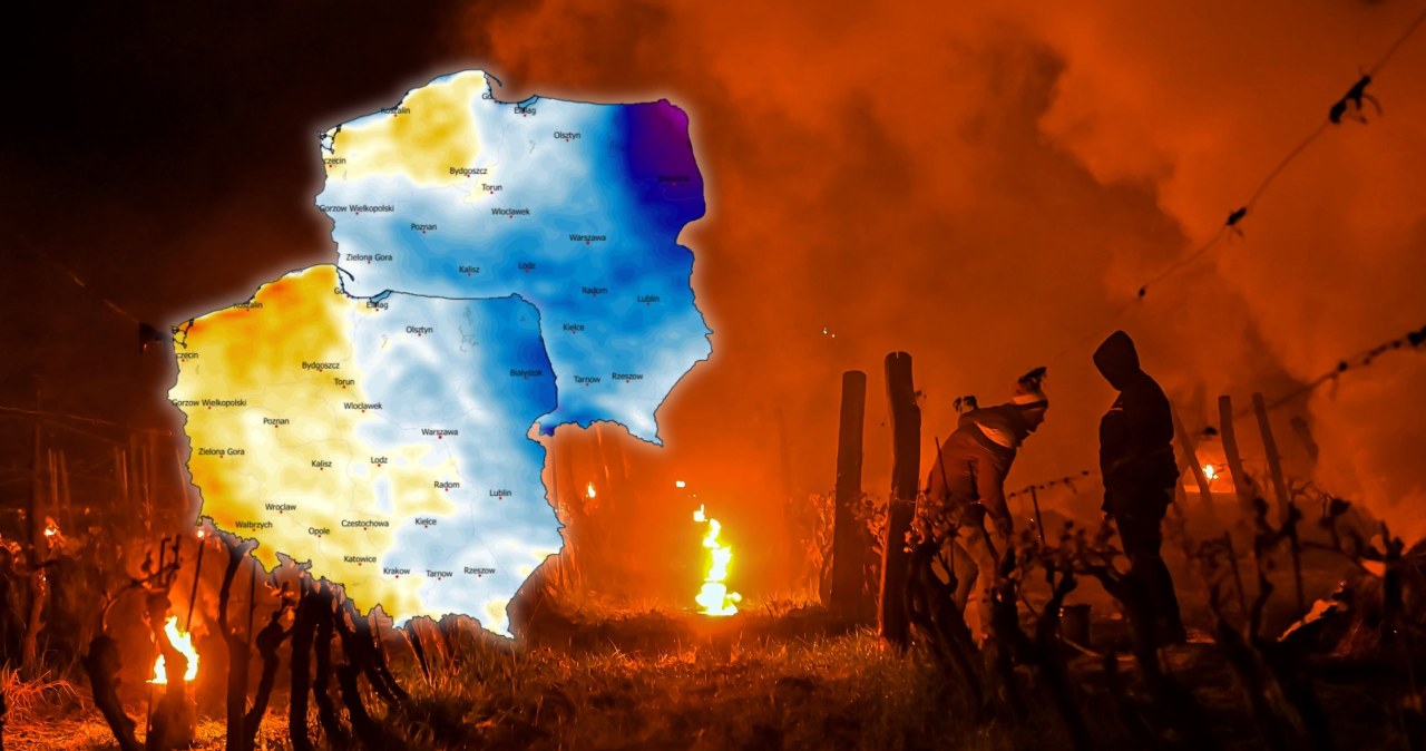 Sadownicy nie prześpią weekendowej nocy. choćby -4 przy gruncie