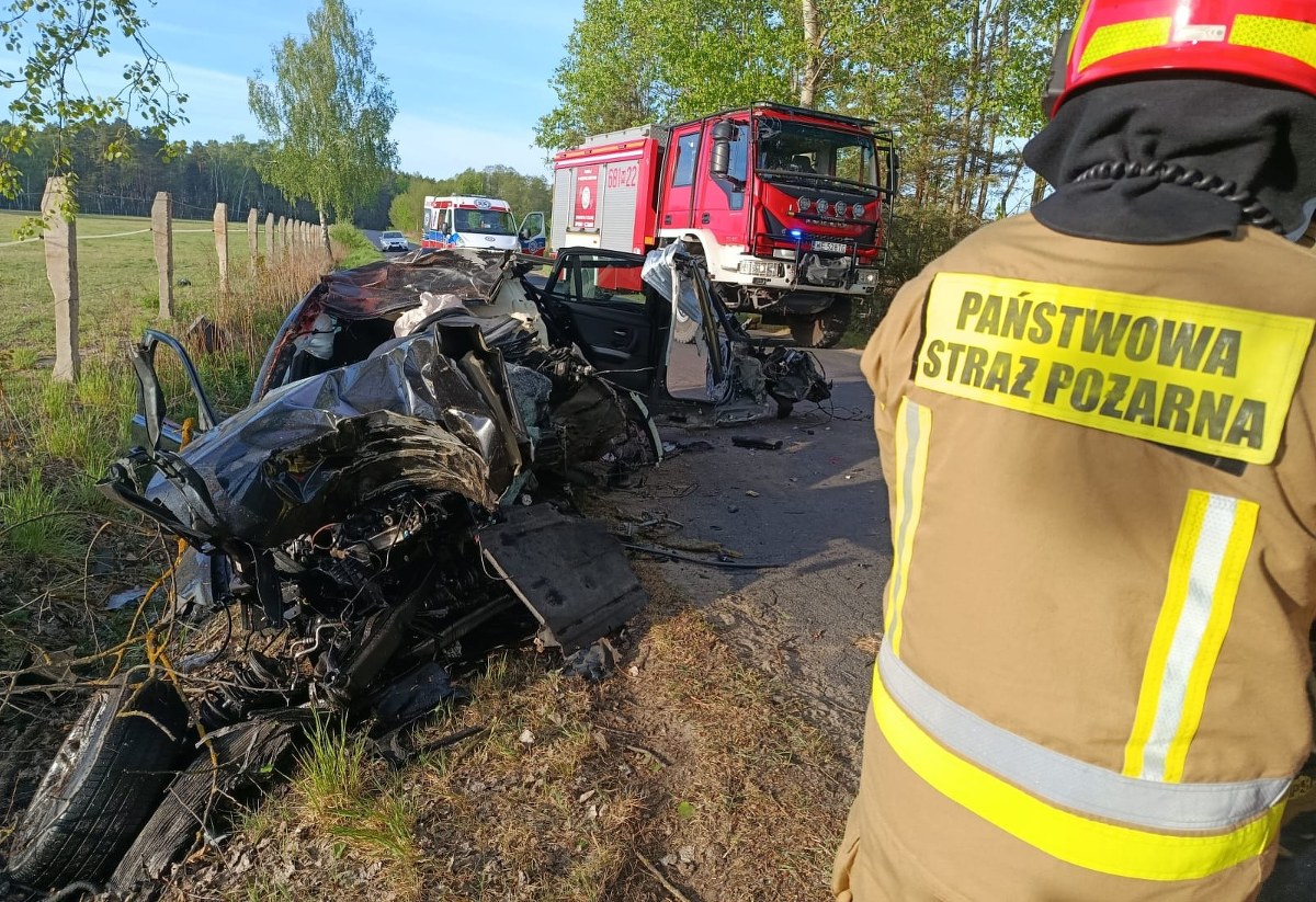Poranny dramat w Przykorach. Koszmarne zderzenie z łosiem