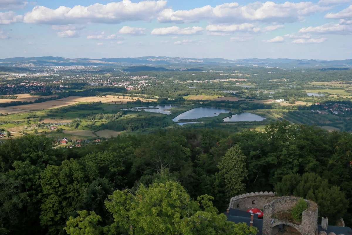 Dzięki darowiźnie, wynoszącej 29,58 mln zł, Karkonowski Park Narodowy wykupił kompleks Stawów Podgórzyńskich. To jeden z najcenniejszych obszarów Kotliny Jeleniogórskiej. 