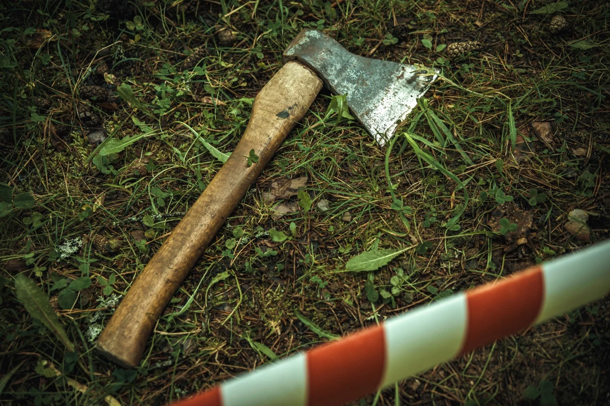 Sąd Apelacyjny w Rzeszowie podtrzymał wyrok dożywotniego więzienia dla 32-letniego Tomasza U., skazanego za brutalne zabójstwo matki, babci i dziadka w Bąkowie (pow. stalowowolski). Mężczyzna będzie mógł ubiegać się o warunkowe zwolnienie dopiero po 35 latach. Wyrok jest prawomocny.