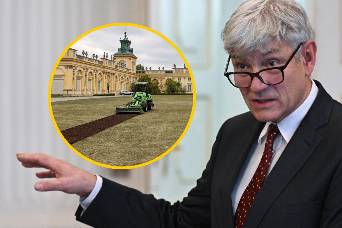 Techno na dziedzińcu pałacu w Wilanowie. Dyrektor ujawnia, ile zarobiło muzeum