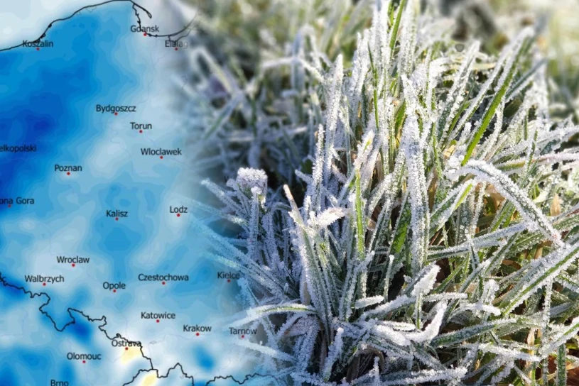 Nie wszyscy "zimni ogrodnicy" w tym roku się pojawią. Wiemy, kogo zabraknie