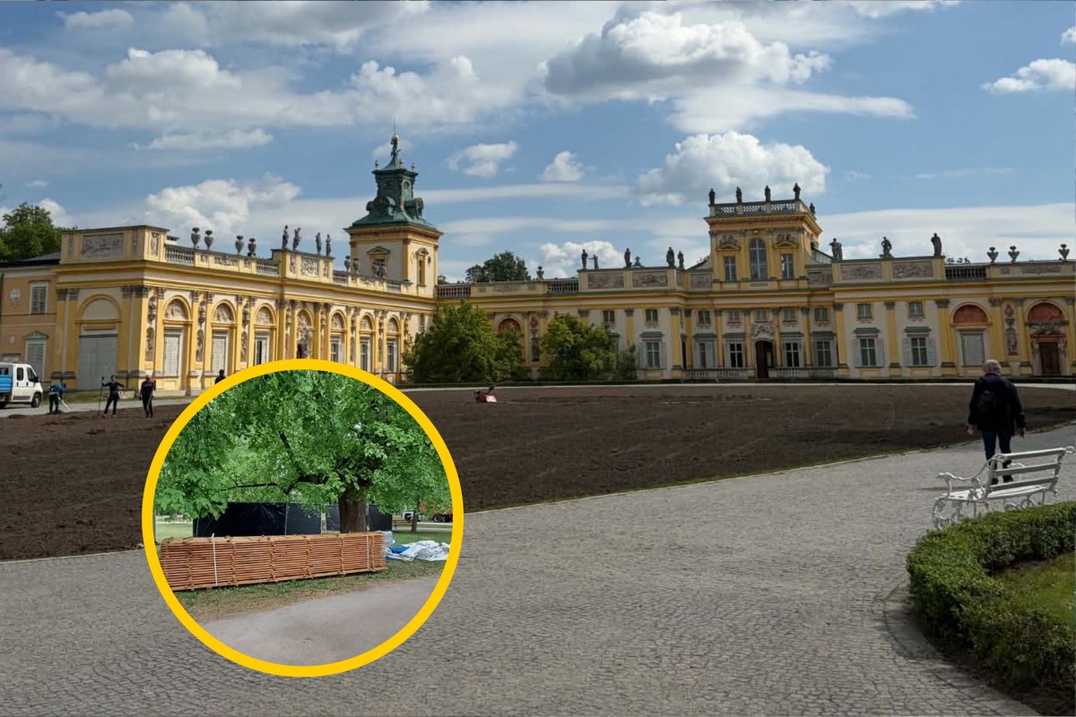 Techno przed pałacem w Wilanowie. Eksperci o wpływie koncertu na przyrodę