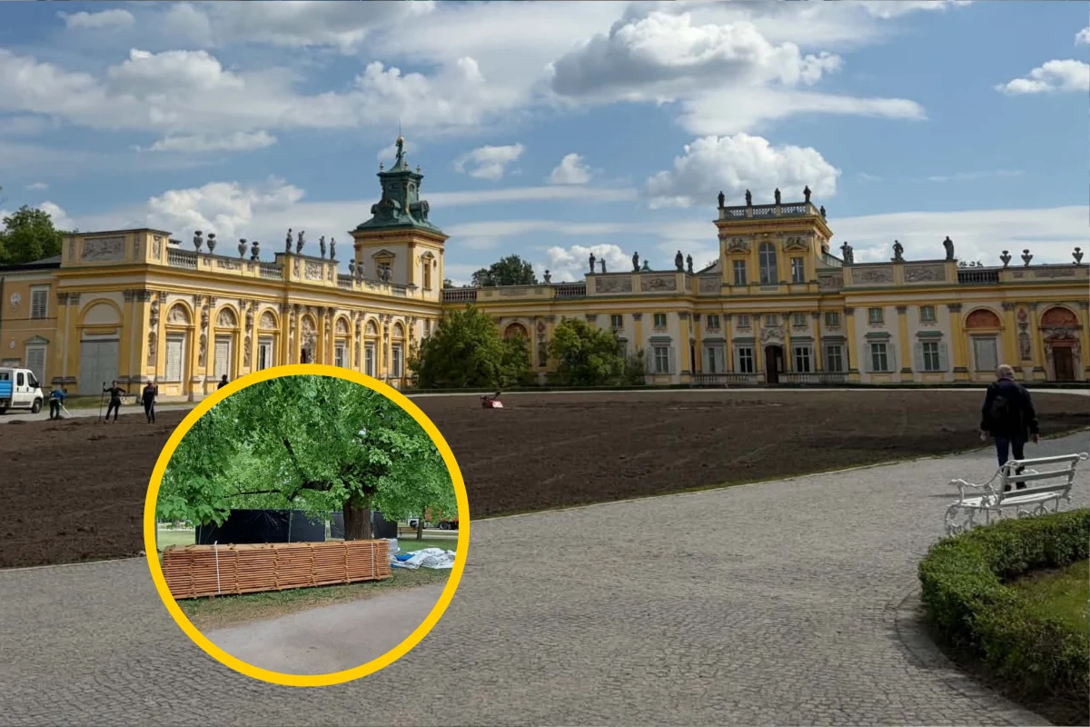 Dyrektor wilanowskiego muzeum przeprasza i obiecuje, że kolejnej takiej imprezy nie będzie. Chodzi o koncert muzyki elektronicznej Circoloco, który trwał prawie 12 godzin i zakończył się o 3:30 nad ranem w niedzielę. Za wynajęcie przestrzeni Muzeum Pałacu Króla Jana III w Wilanowie otrzymało 116 tysięcy złotych. "To mało, biorąc pod uwagę szkody w przyrodzie i nieprzespaną noc tysięcy osób, w tym starszych, chorych i małych dzieci" – mówi naszej reporterce jedna z mieszkanek Wilanowa. "Żadne pieniądze nie naprawią tego, co się stało" - dodaje. Eksperci, z którymi rozmawiała reporterka RMF FM Magdalena Grajnert, sugerują, że negatywny wpływ kontrowersyjnej imprezy na przyrodę możemy odczuć dopiero za jakiś czas. 