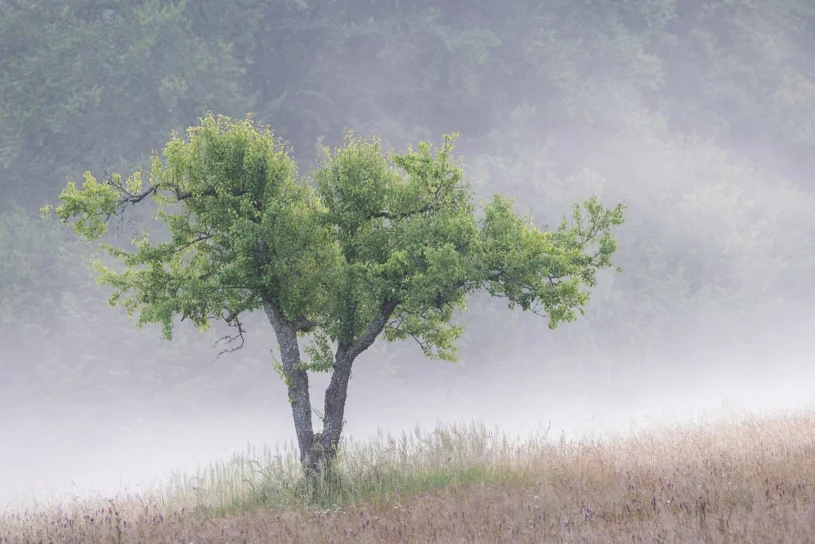 Najpierw rachunek strat, później pomoc. "Spadek temperatur był rekordowy"