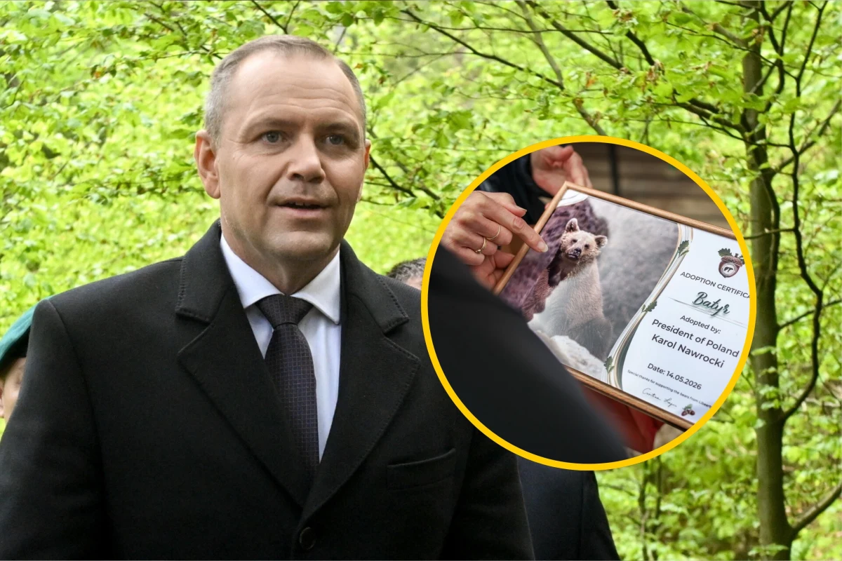 "Prezydent ponownie zaadoptował zwierzaka" - ogłosił w mediach społecznościowych osobisty fotograf Karola Nawrockiego - Mikołaj Bujak. Okazuje się, że chodzi o niedźwiedzia, który otrzymał imię Batyr. To część pseudonimu używanego kiedyś przez obecnego prezydenta.