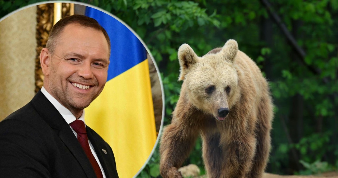 "Poznajcie Batyra". Karol Nawrocki zaadoptował niedźwiedzia