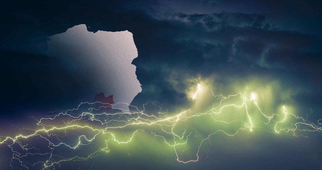 Fatalne prognozy na piątek. RCB ostrzega, by nie parkować pod drzewami