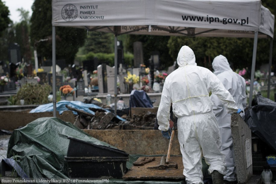 /IPN /